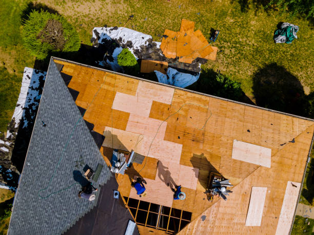 Roof Gutter Cleaning in Woodstock, AL