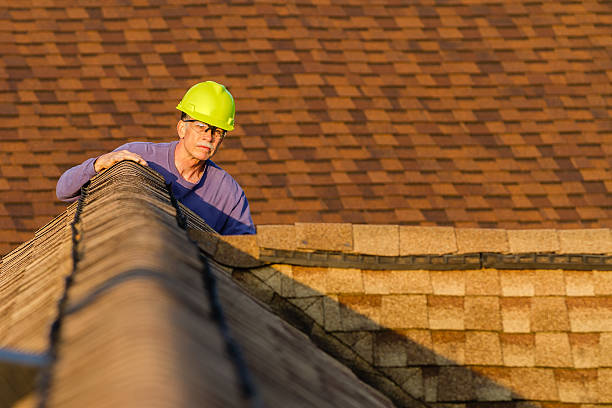 Professional Roofing Contractor in Woodstock, AL